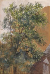 Blick aus dem Atelierfenster in der Marienstraße